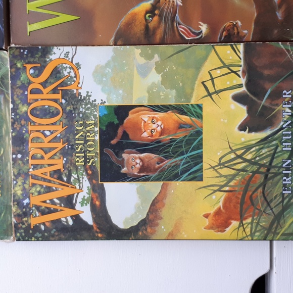 Warrior Cats The Prophecy Begins 1 to 6 - Picture 5 of 7